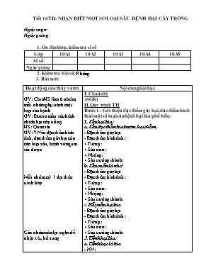 Giáo án Công nghệ Lớp 10 - Tiết 16 Thực hành Nhận biết một số loại sâu bệnh hại cây trồng